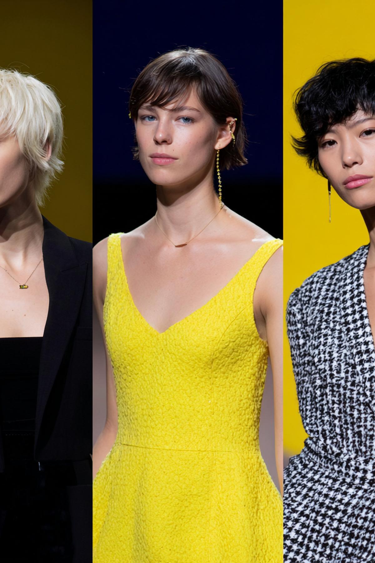 Platin Pixie Bob Und Shag